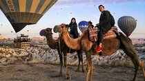 2 Hours of Camel Safari in Cappadocia 