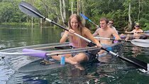 Clear Canoeing and Wildlife Sightseeing at Silver Springs