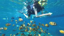 West Nusa Penida With Snorkeling Private Guided Tour 