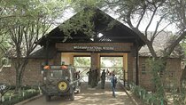One Day Tour to Maasai Mara Game reserve from Nairobi