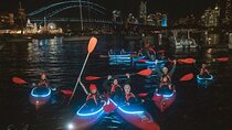 City Lights by Night Paddle on Sydney Harbour Guided Tour