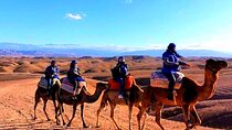 Desert Agafay & Atlas Mountains, Valleys & Waterfalls Tour from Marrakech
