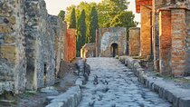 Pompeii Private Guided Tour with nominative tickets from Sorrento