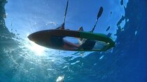 Maui's Only Clear Bottom Kayak Rental (priced per tandem kayak)