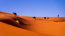 Private Desert Odyssey: Marrakech to Merzouga 3-Day Adventure