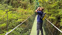Costa Rica - Private Tour Experience