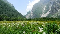 Valley of Flowers - UNESCO World Heritage Site, Uttarakhand
