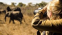 3-Days Lodge Safari in Tarangire, Ngorongoro Crater & Lake Manyara