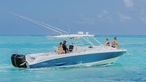 Half-Day Private Stingray City Charter - Grand Cayman - BTC