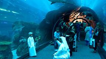 Burj Khalifa and Dubai Aquarium with Combo Tickets