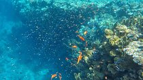 Snorkeling trip to Ras Mohamed & The White Island aboard Luxury Yacht