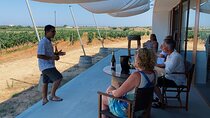 Winery Tour in Menorca with Wine Tasting