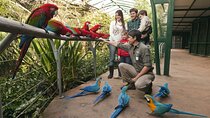 Buenos Aires: Temaiken Biopark including Transfers