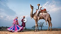 All Inclusive: 3 Days Golden Triangle Tour from Delhi