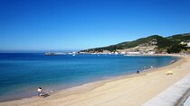 Full-Day Guided Tour of the Arrabida Region