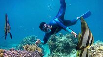 Best Blue Lagoon Snorkeling and Tegenungan Waterfall 