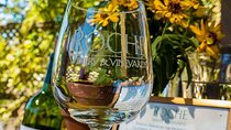 Half-Day Wine Tour Plus Hop-On Hop-Off Bus Pass