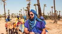 Marrakech Palmeraie Tour with 1 Hour Camel Ride