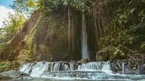  Private Tour to Sumampan Waterfall, Monkey forest, Rice terraces and Swing