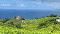 Full day Private San Sebastian coastal tour with Txakoli wine