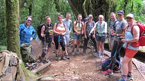 7 Day Private Kilimanjaro Climbing via Machame Route