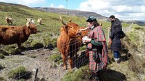 Full-Day Private Guided Shennachies Road to Isles and Skye Tour