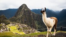  Machu Picchu Full-Day Tour by Train from Cusco - Small Group