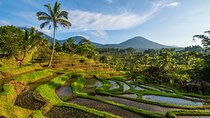 Northern Bali Tour - Private Full Day Tour - All Inclusive