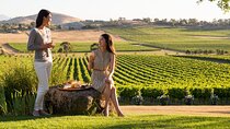 Yarra Valley Wineries Private Day Tour