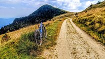 E-Bike Private Tour to the Roof of Bucegi Montain 