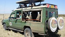 2 nights 3 days Masai Mara safari package