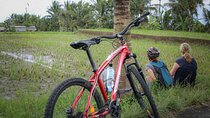 Cycling Adventure in Bali