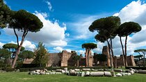 Baths of Caracalla Private Tour 
