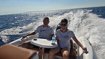 Hurghada Speedboat Dolphin Watching and Snorkeling