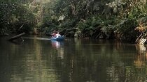 2-Hour Kayak Tour in Quepos