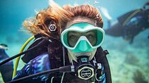 Try Dive - PADI Discover Scuba Diving in Tenerife
