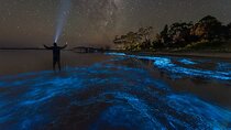 Florida Bioluminescent Kayak & Paddle Board Adventure