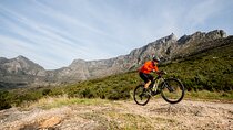 Private E-Bike Cape Town MTB Trails with a Pro