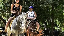 Extreme ATV, Ziplines, & Horseback Riding Half-Day Experience