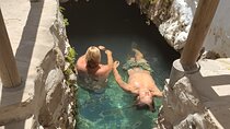 Private Tour to Roman Baths with Natural Sulfur Spring