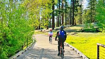 Bike Rental in South Lake Tahoe