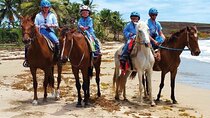 Horseback Riding along the Beach