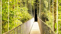 Private Tour Mistico Arenal Hanging Bridges From Guanacaste