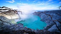 Ijen Crater Tour From Bali 1 Day
