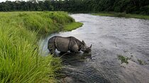 3-Day Chitwan National Park Jungle Safari Tour Package with Pick Up