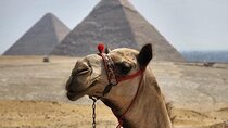 Half Day Tour To Giza Pyramids And Sphinx