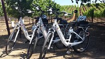 Experience E-Bike with Wine Tasting Activity