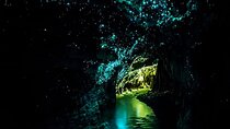 Private Round Trip Transport To Waitomo Caves From Auckland 