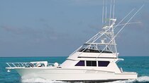 Biggest Luxury Yacht Boat Best in Cancun up to 28 pax