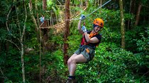 Cape Tribulation & Ziplining: Ultimate Daintree